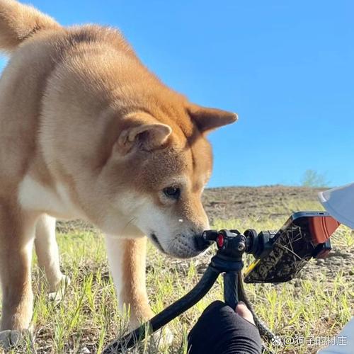 圆形花坛的风水禁忌有哪些入户花园风水有哪些禁忌 圆形花坛的风水禁忌有哪些入户花园风水有哪些禁忌