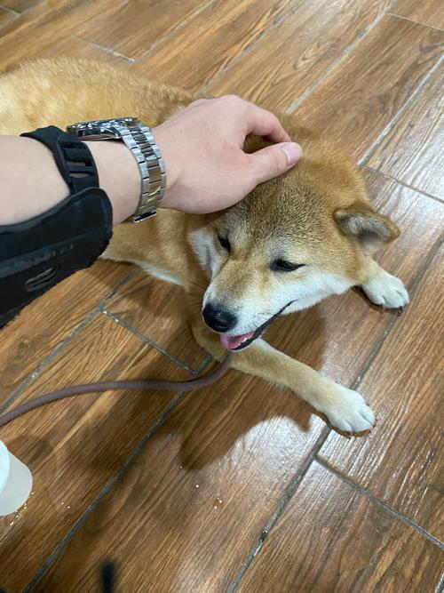 ѧ��լ��ˮ��Ҫѧ��Щ