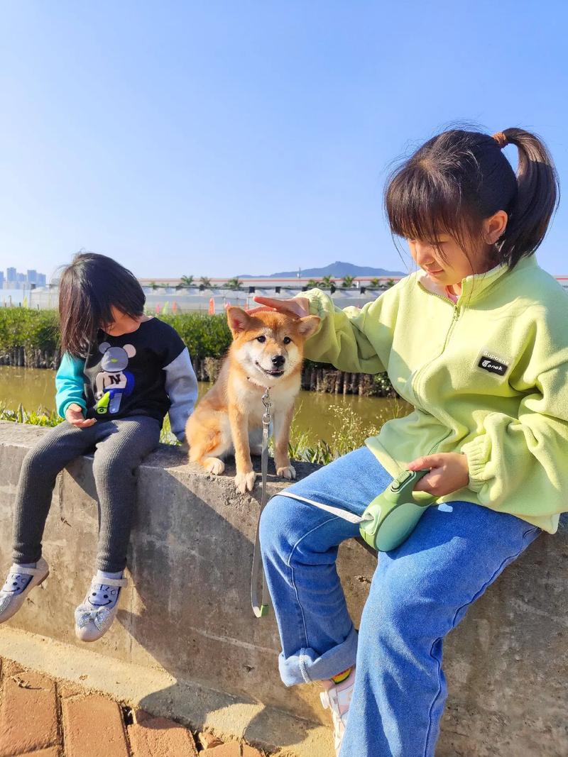 支付宝生肖卡不同属相有什么区别(生肖卡是什么意思) 支付宝生肖卡不同属相有什么区别(生肖卡是什么意思)