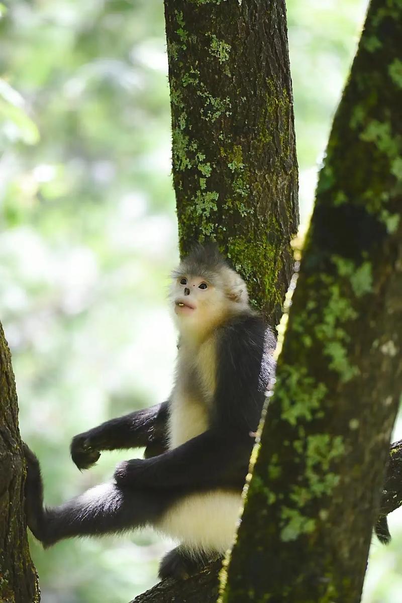 圣经中婚礼祝福的话 婚礼圣经祝福语推荐 圣经中婚礼祝福的话 婚礼圣经祝福语推荐