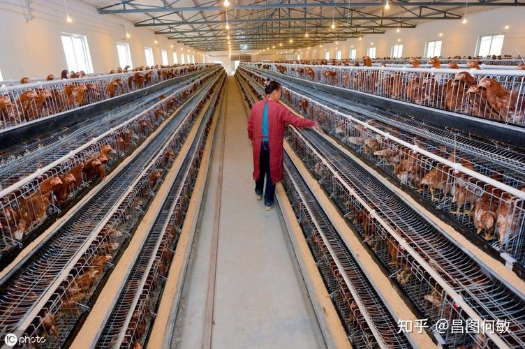 择日怎么看阴宅阳宅 择日怎么看阴宅阳宅