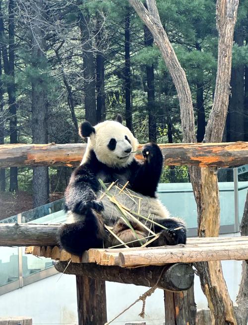 ��������������Ů��(���������鼮����Щ )