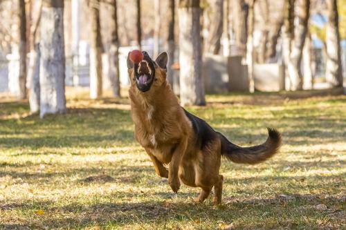 算命先生会接触多少八字(八字命理必背口诀算命先生是怎么快速算出八字) 算命先生会接触多少八字(八字命理必背口诀算命先生是怎么快速算出八字)