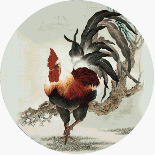 张碧晨的第一次是给了华晨宇吗继未婚生女风 张碧晨的第一次是给了华晨宇吗继未婚生女风