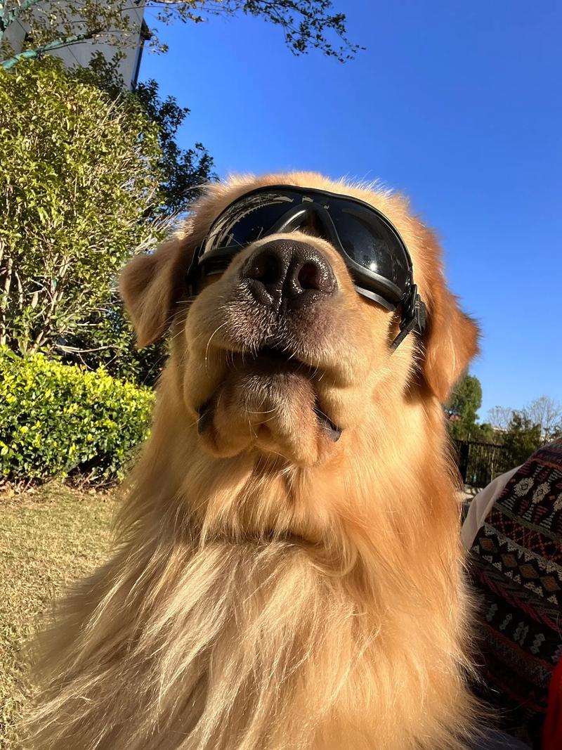 只有一位正财的男命八字,高分求此男的命运 只有一位正财的男命八字,高分求此男的命运