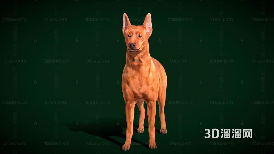 ƿû뼪ײѯǷӰǵĳаȫͳļֵкǱ