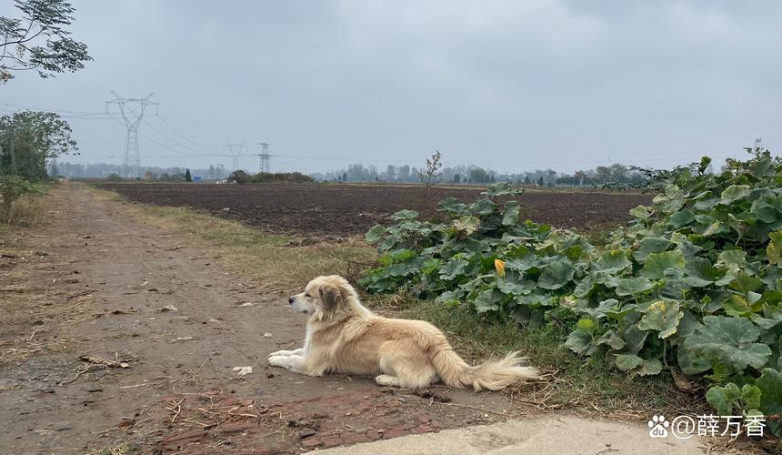 صǩ43ǩѧҵѹǷ(صǩ43ǩѧҵѹǩ)