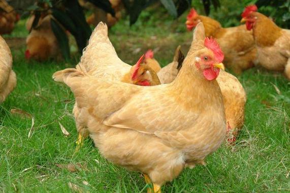 ̫Ƿ̫Ф޹Ӱ(̫Ƿ̫޹ӰЩʧ)