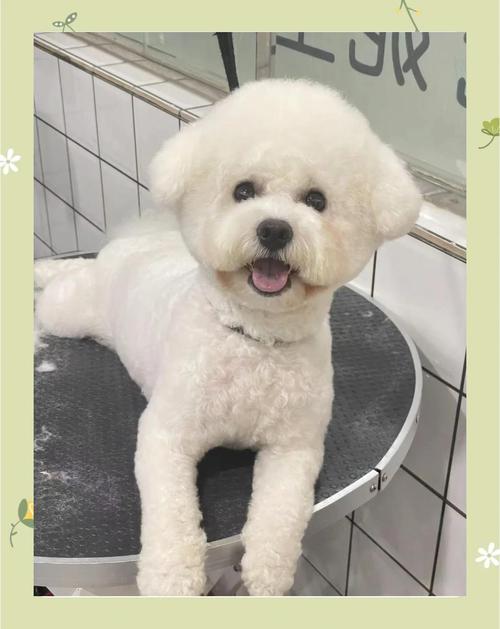 µкֻʶļѡ(µкֻʶļַѡǷ)