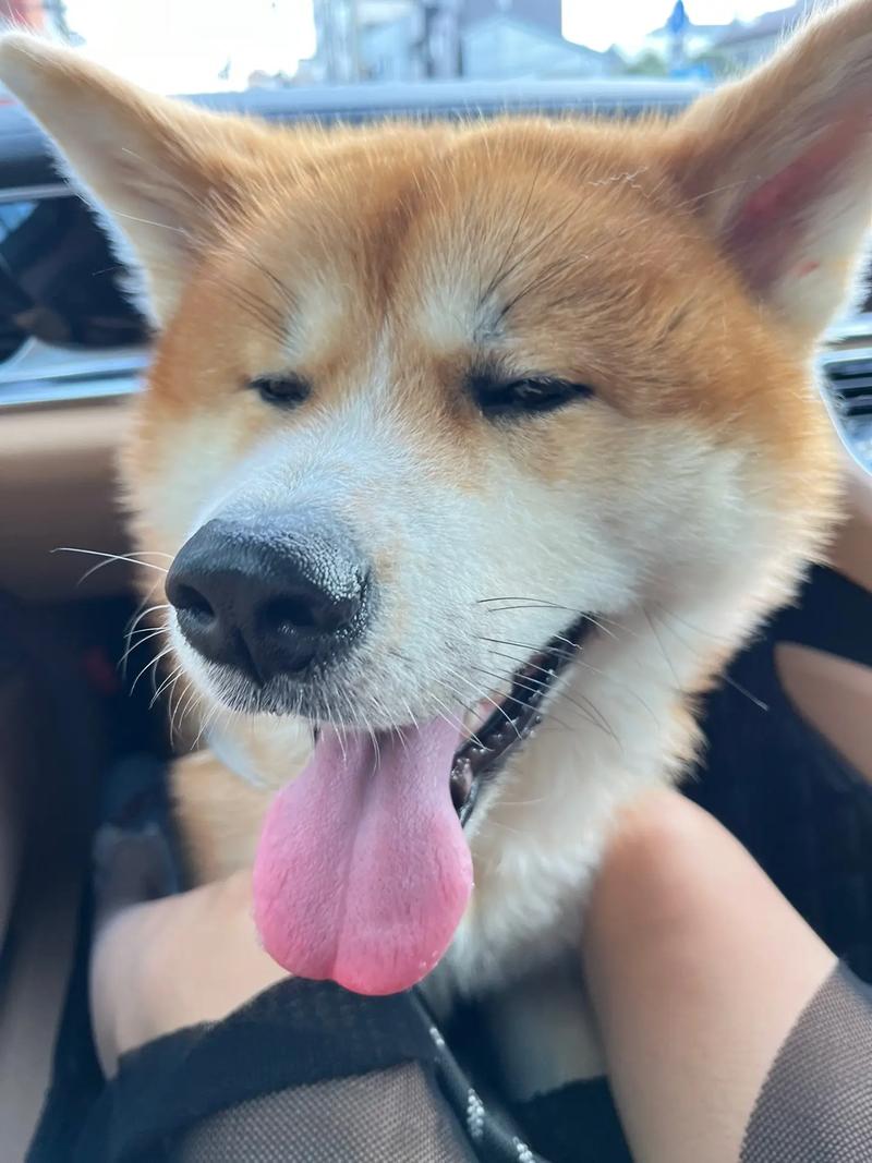 �Ͼ���˾��ˮ��ô��