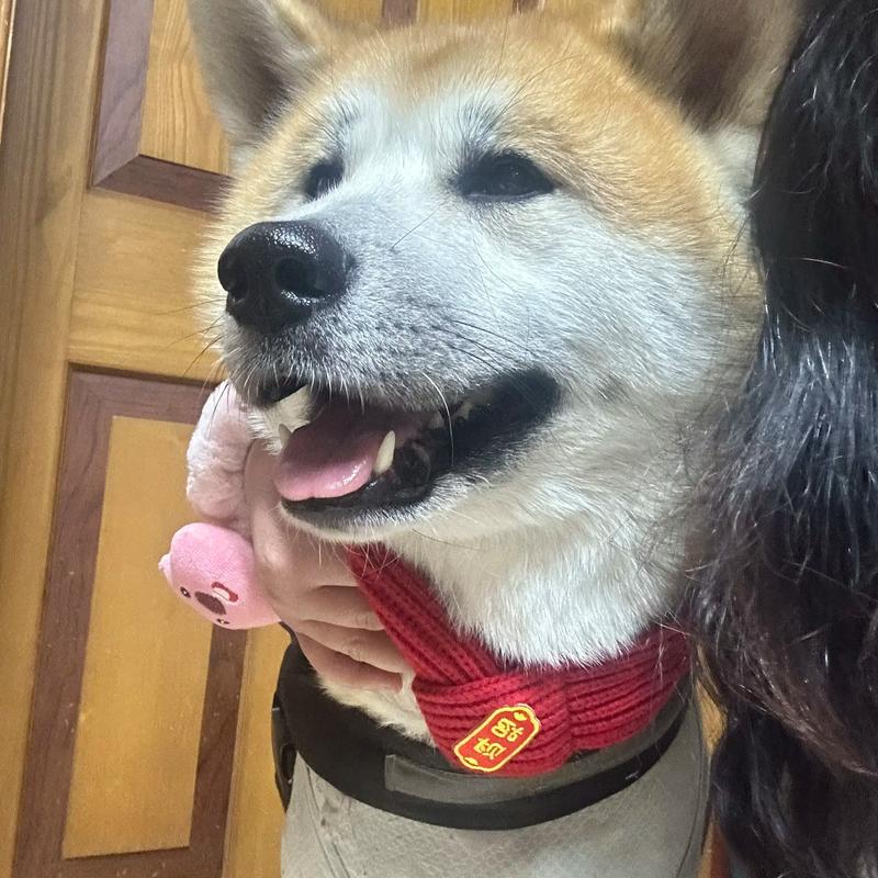 ���������1967 67������Ů���������