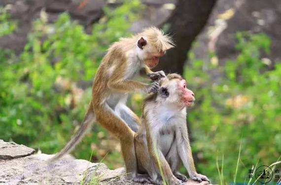 张晓龙任泉怎么传的任泉结婚了吗,他都在忙 张晓龙任泉怎么传的任泉结婚了吗,他都在忙