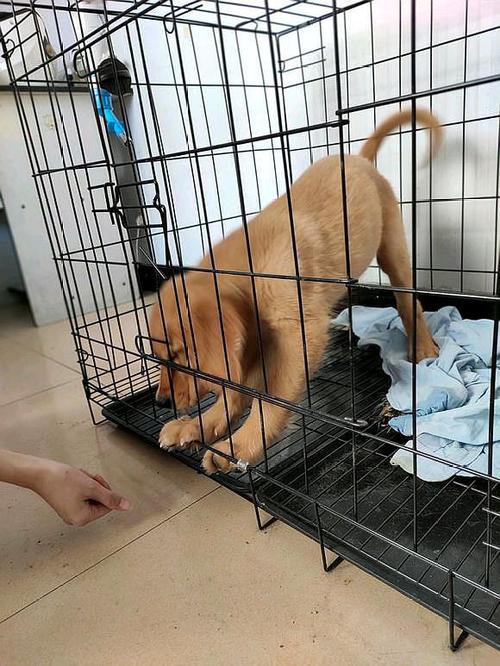 ΢�Ŵ�ͳ����ף������Щ����ͳ����ף������Щ����