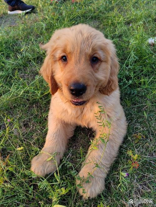 �������ǿ�Ӧ�����02