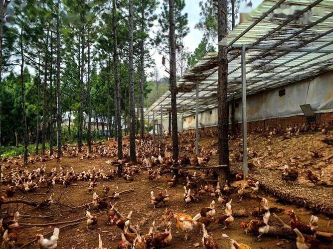 ��ô��ѧ������ˮѧ��Ƶ������������ѧ�ῴ��ˮ