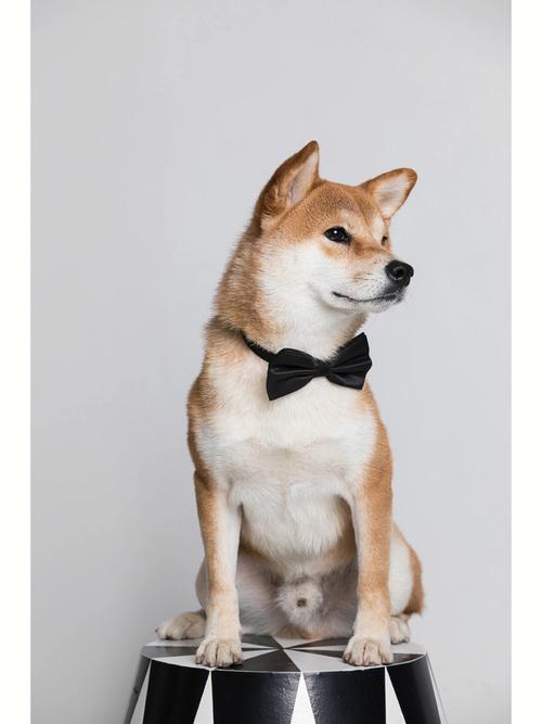 水瓶座心里有你的表现 水瓶座真心待你的表现 水瓶座心里有你的表现 水瓶座真心待你的表现