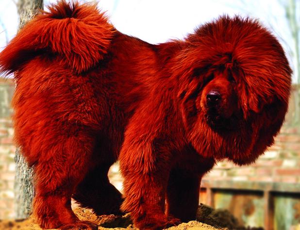 �������ֲ��ˮ�ò���