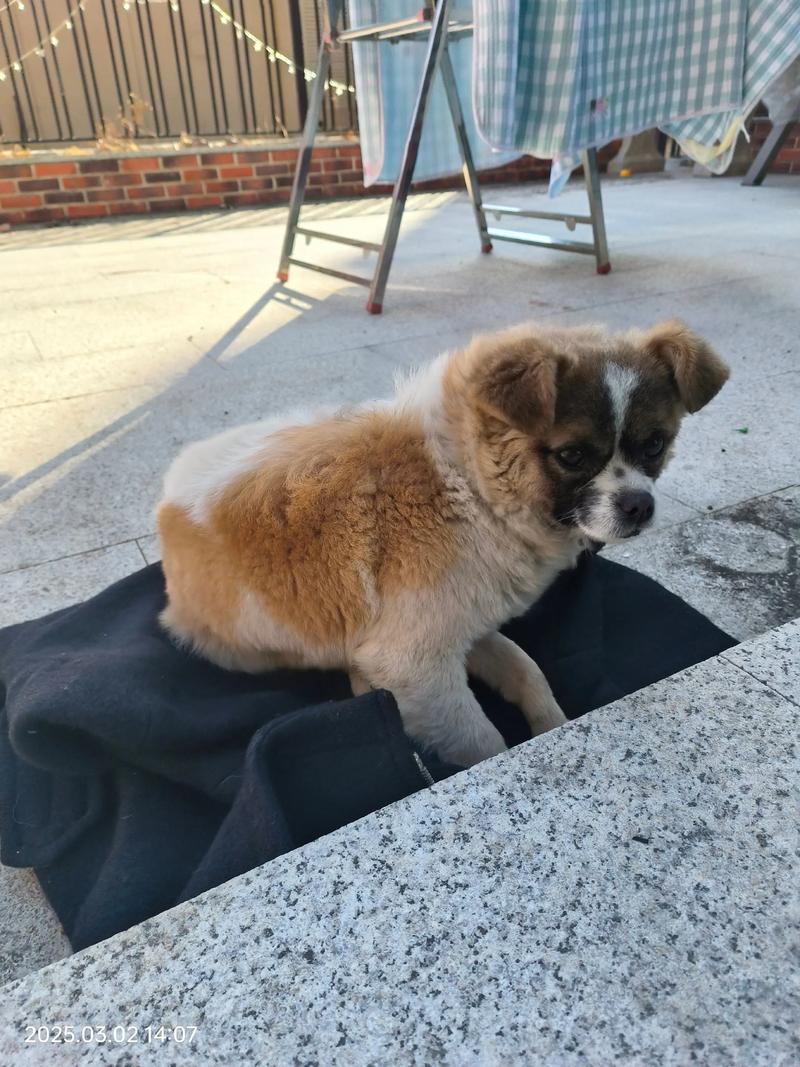 �����Ⱞ����Ե���� ����Ե����Բ���