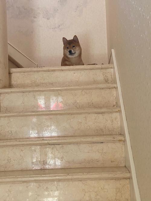 ���ݳ��޵�������ˮ���