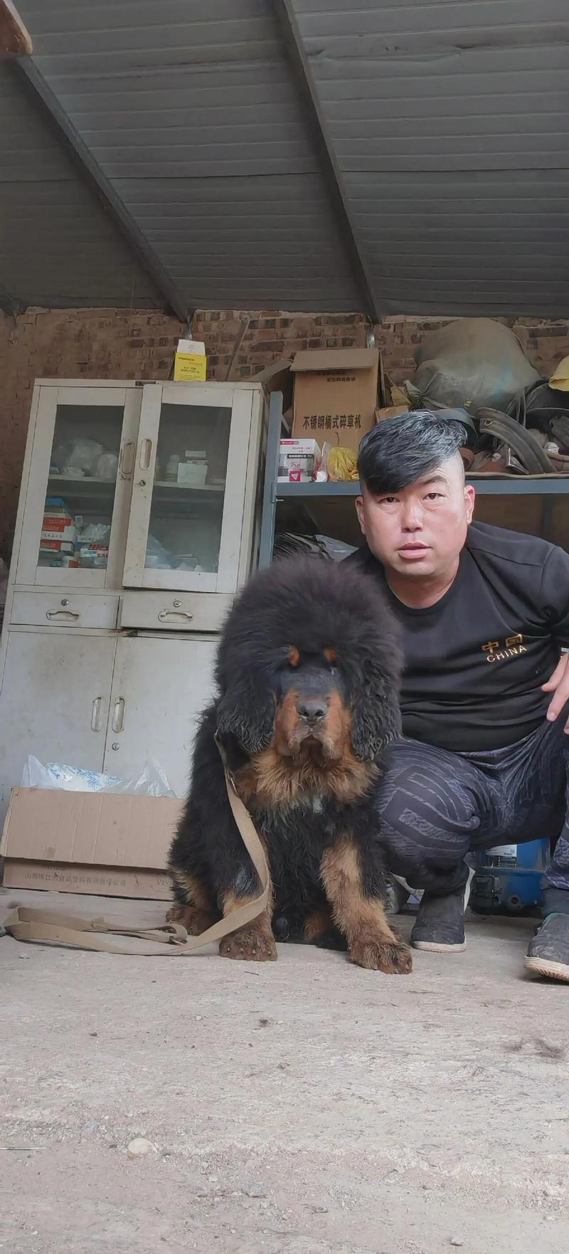 狗年宝宝取名 狗年宝宝取名