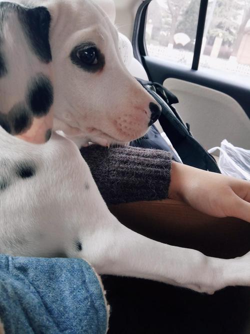 什么面相的女人性格温柔 什么面相的女人性格温柔