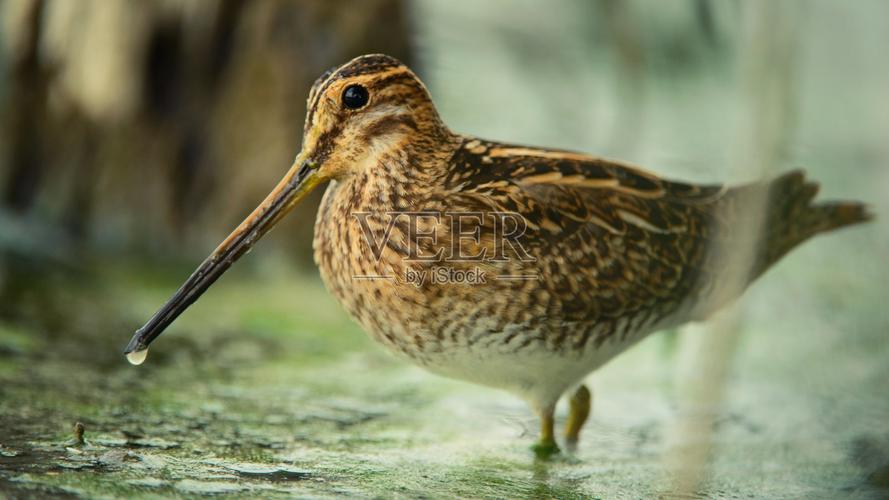 �±�����Ӱ(�±�����Ӱ�ϵ����߲���)