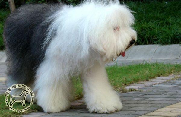 �����¥����ˮ������Щ