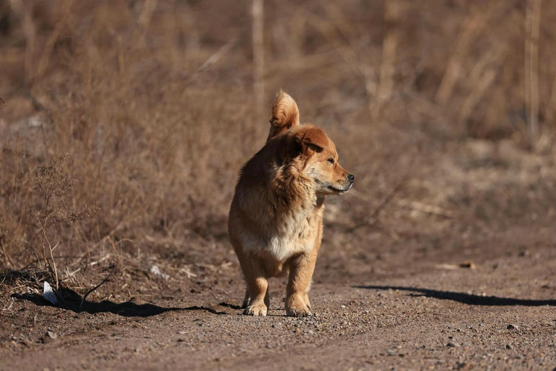 四柱八字人元篇 四柱八字人元篇