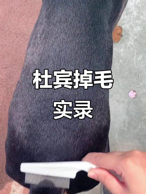 �������������������İ��أ�˭��Ϊ�ҽҿ�����֮�գ�