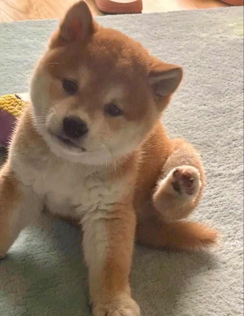 ס���ӷ�ˮ����ͼƬ����¥���ſڷ�ˮʮ�����ͼƬ