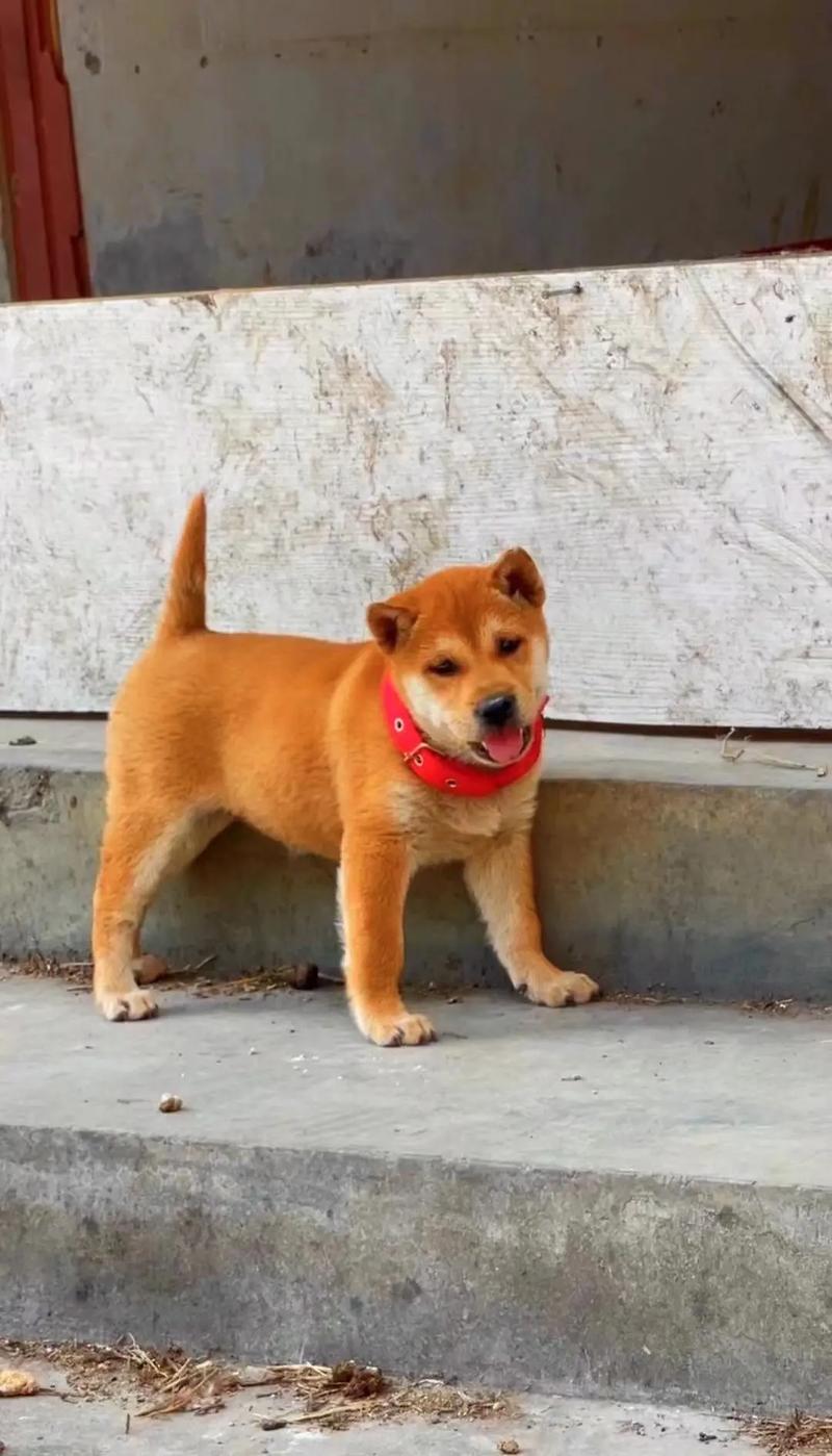 西安风水命理师排名榜前十名重庆风水师有谁了解呢 想找个懂行的师傅看房子 先谢谢啦 西安风水命理师排名榜前十名重庆风水师有谁了解呢 想找个懂行的师傅看房子 先谢谢啦