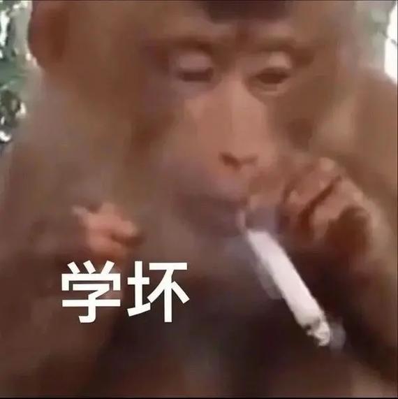 阴宅长树如何处理 阴宅长树如何处理