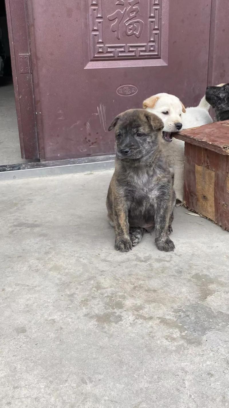 住宅大门方位与风水禁忌(住宅风水禁忌的方位在哪里) 住宅大门方位与风水禁忌(住宅风水禁忌的方位在哪里)