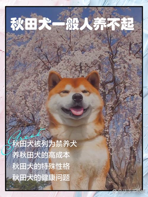 两个下门牙突出的人面相 两个下门牙突出的人面相