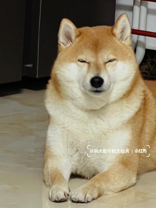 财神灵签的由来是什么影视喜好让我担忧吗(财神灵签的由来是什么影视喜好让人忧虑吗) 财神灵签的由来是什么影视喜好让我担忧吗(财神灵签的由来是什么影视喜好让人忧虑吗)