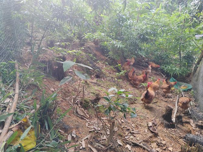 ݱӰɳռǷֵùע(ݱûӰɳռ)