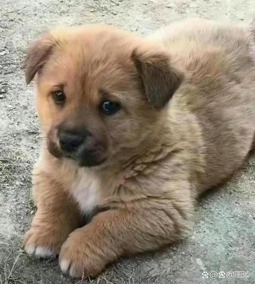 УνṹܷӰҵְҵչ·ҵɹǱ(Ӱְҵѡҵչ)