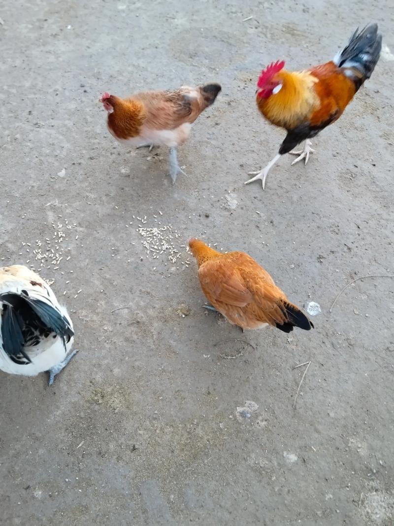 ��ˮסլ�����Ƕ�������