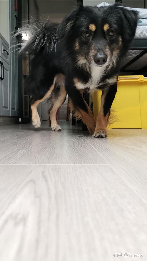 ���ֻ�������֪ʶ