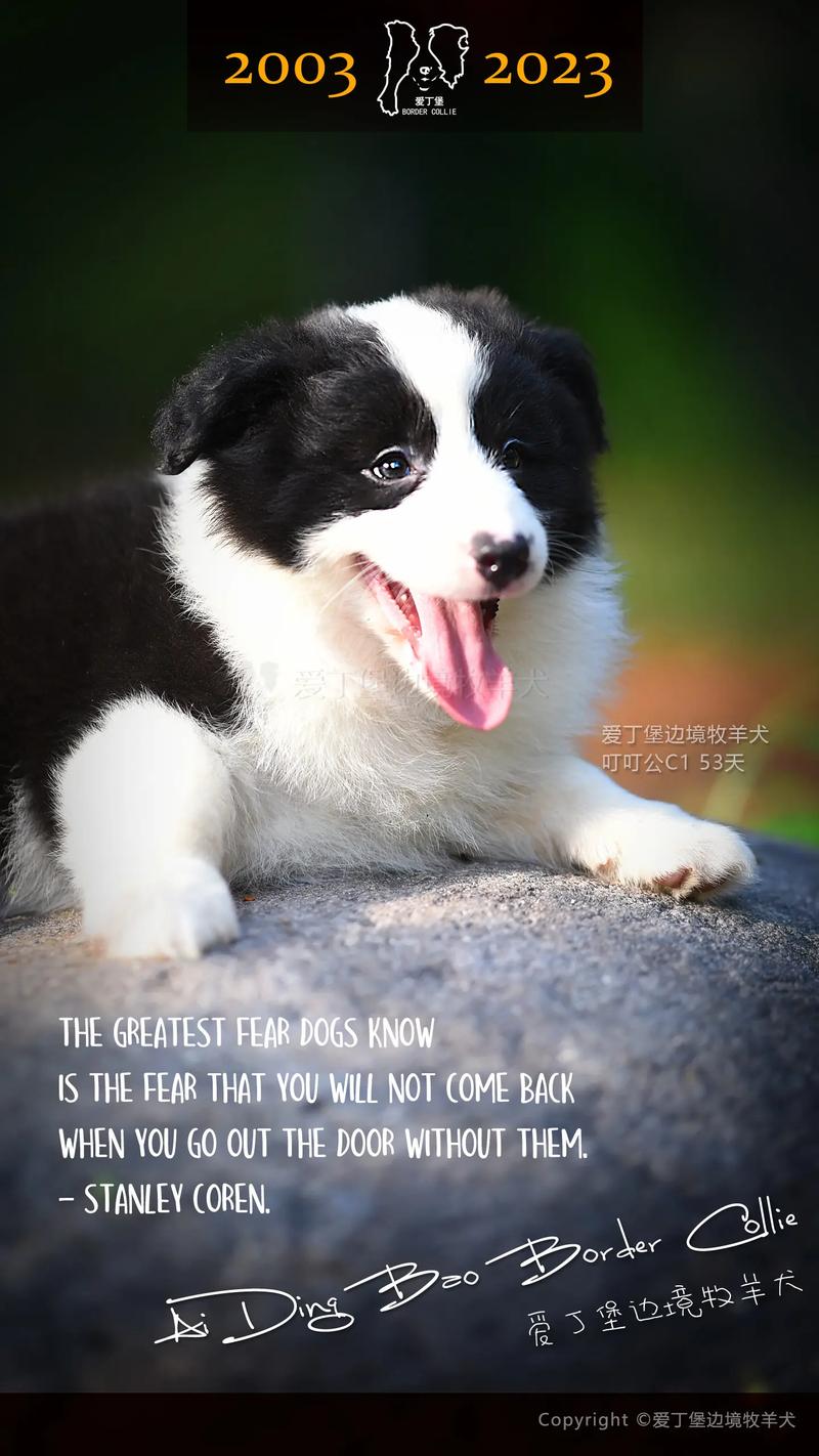 处女座女生喜欢什么类型的男生 处女座女生喜欢什么类型的男生