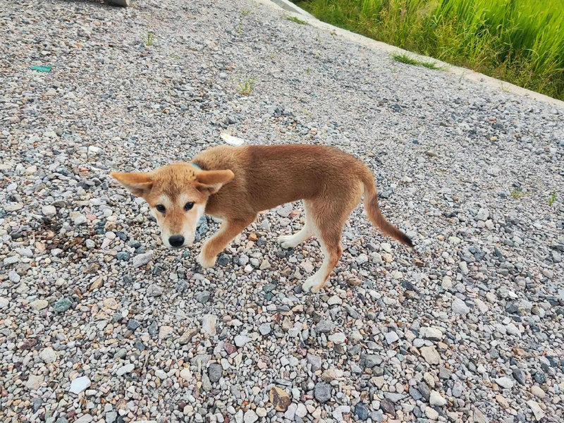 守住财富的风水格局 守住财富的风水格局