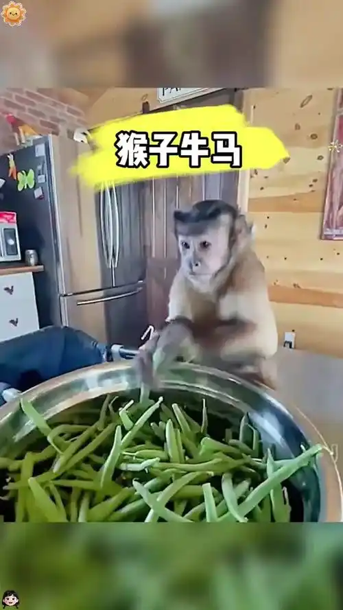 办公室风水布置图解 办公室风水布置图解
