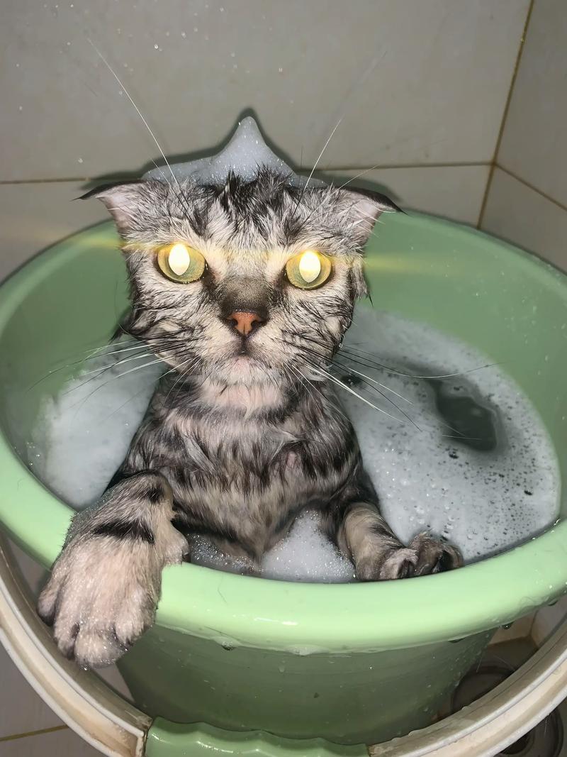 139周易算卦占卜能否揭示我的社交圈规模变化的秘密(139周易算卦占卜如何影响你的社交圈规模是否值得关注) 139周易算卦占卜能否揭示我的社交圈规模变化的秘密(139周易算卦占卜如何影响你的社交圈规模是否值得关注)