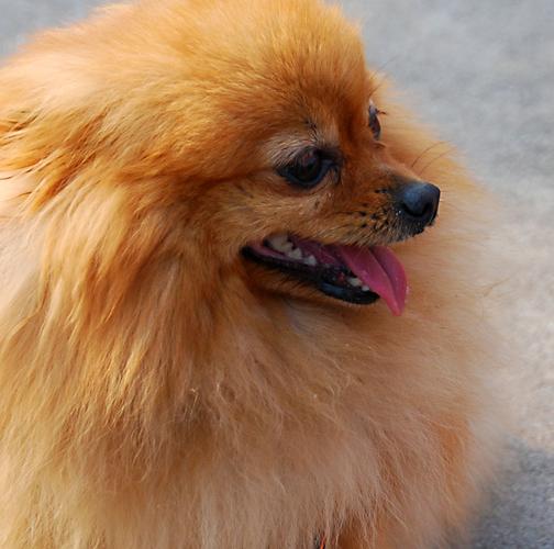 �ƽ������� �ƽ���������˭