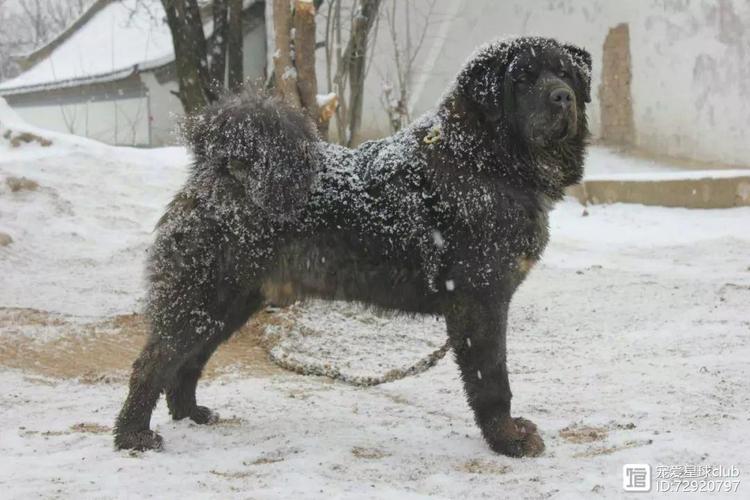 ǩ6_ӹϵȥδ(ǩ6_ӹϵ_ǩǩ)