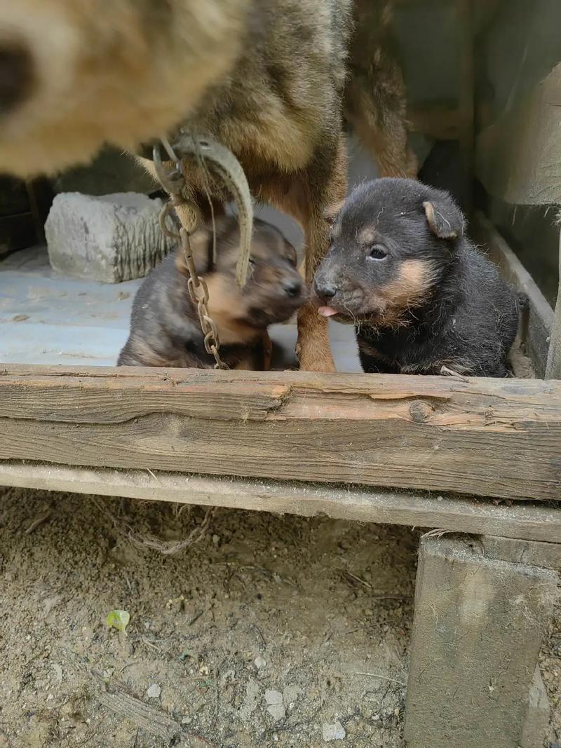 经超和小李琳一起演过的剧 经超和小李琳一起演过的剧