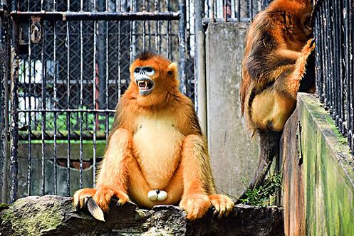 奇门运筹与择吉B 奇门运筹与择吉B