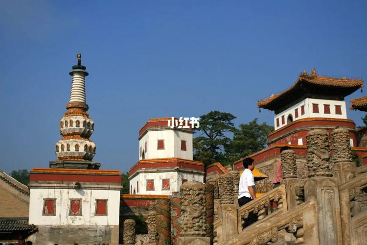 �����������[����������Է���]