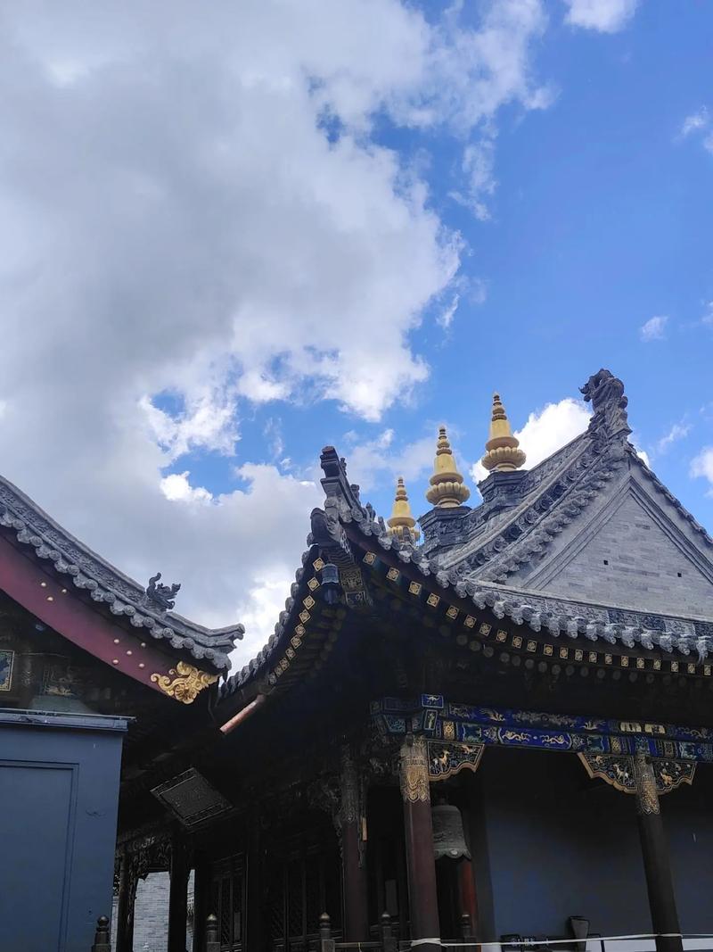 林志玲演过的真人秀有哪些 林志玲演过的真人秀有哪些