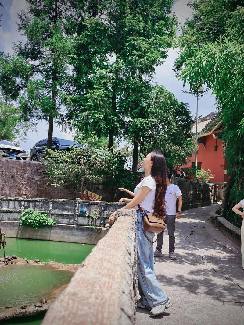 ������ţ����� ��Ф����ţ��